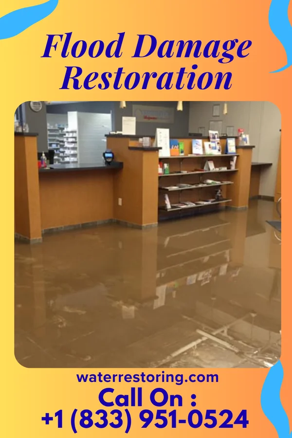 Flood Damage Restoration in Grant, MI