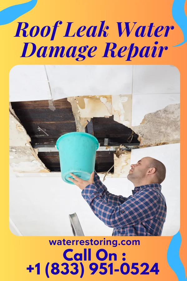Roof Leak Water Damage Repair in Grant, MI