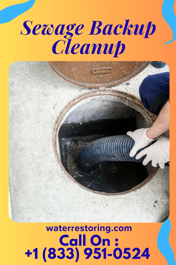 Sewage Backup Cleanup in Grant, MI